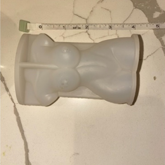 Body mold - Picture 3 of 3